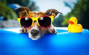 iStock-176230653